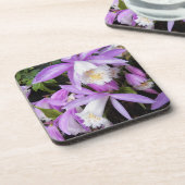 プレオーネ窓シルオーキズフローラ コースター (左側)