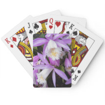 プレオーネ窓シルオーキズフローラ