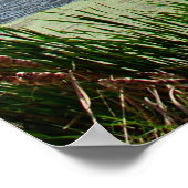 プレザントクリーク ポスター (角)