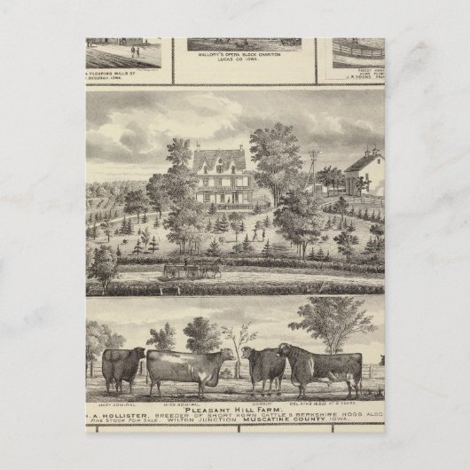 プレザントヒルファームブルジスインデラ ポストカード (正面)