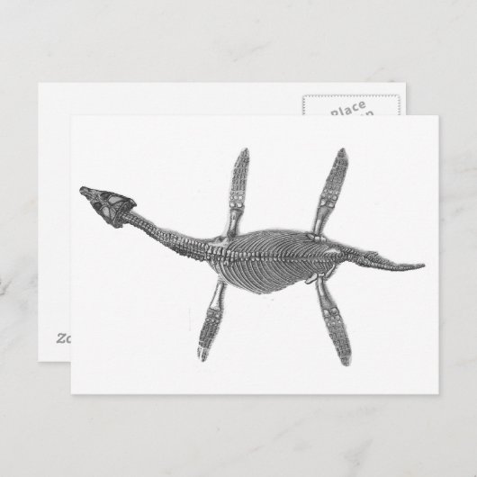 プレシオサウルス骨格アンティークプリント ポストカード (正面/裏面)