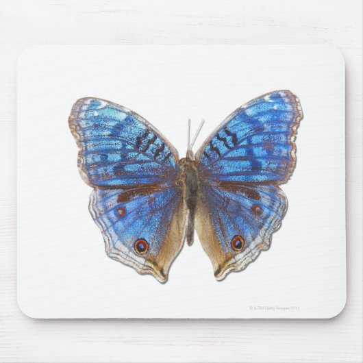 プレシスラダマ マウスパッド (正面)