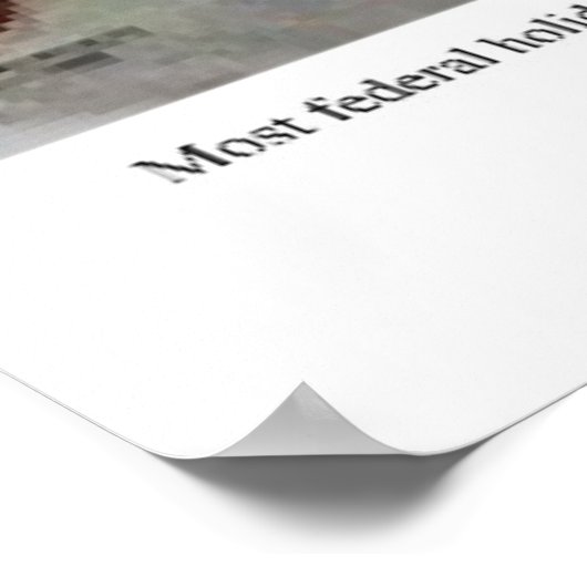 プレジデントの日 – 最も奇妙な休日 ポスター (角)