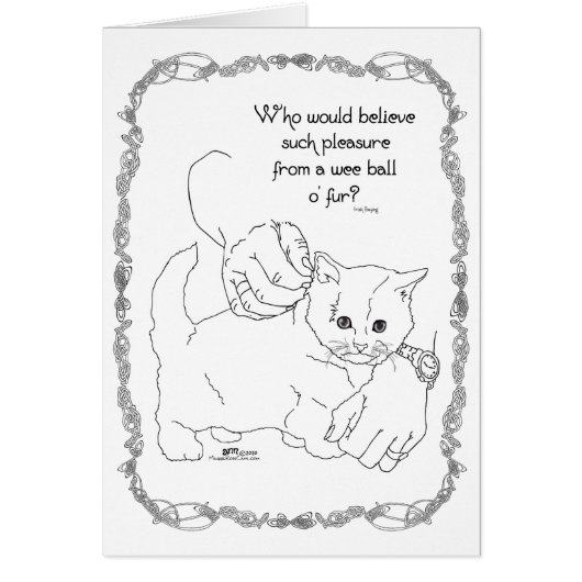 プレジャーキャット (正面)