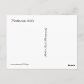 プレスティオドン ポストカード (裏面)