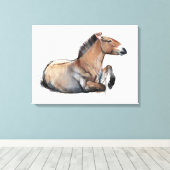 プレゼワルスキー2011年着席 キャンバスプリント (インサイチュ (ウッドフロア))