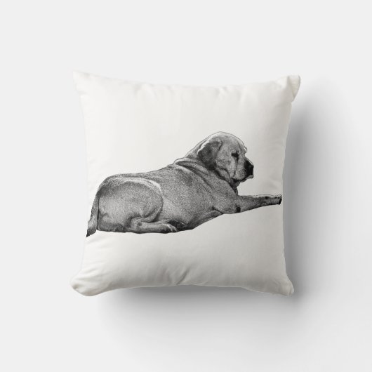 プレゼンスへの到達 クッション (正面)