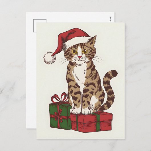 プレゼント付きサンタクロースの帽子をかぶったかわいい猫 シーズンポストカード (正面/裏面)