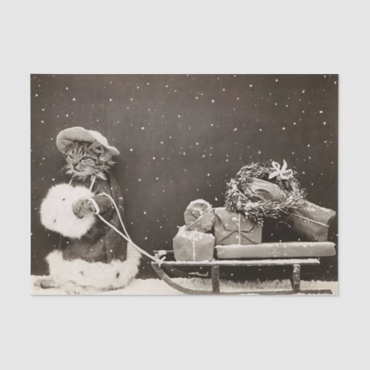 プレゼント 薄葉紙 (正面)