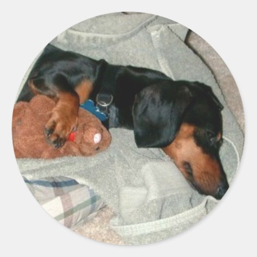 プレッツェル&パル ラウンドシール (正面)