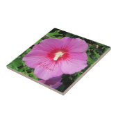 プレッティ・ピンクのシャロン・ローズの水滴が花弁についた名前 タイル (側面)