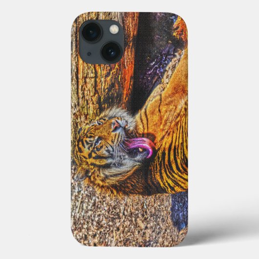 プレニングスマトラントガー大きな猫ワイルドライフアート Case-Mate iPhoneケース (裏面)