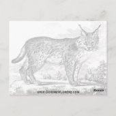 プレマプサタコ ポストカード (裏面)