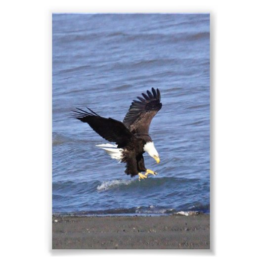 プレミアムサテン写真紙写真の拡大 フォトプリント            (正面)