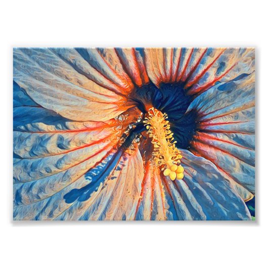 プレミアムサテン写真紙写真の拡大 フォトプリント            (正面)