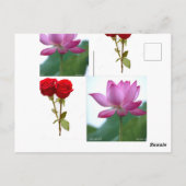 プレミアムデザイン ポストカード (裏面)