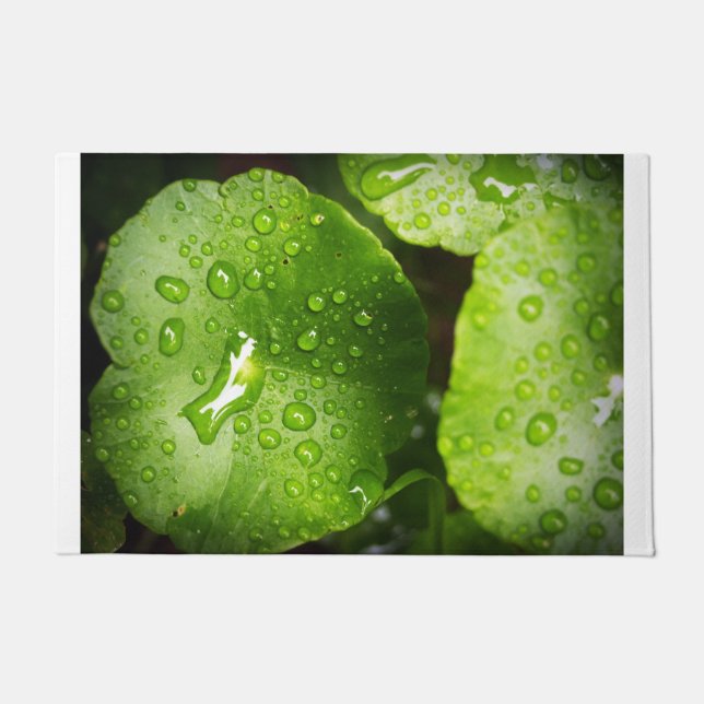 プレミアム品質の形式 ドアマット (正面)