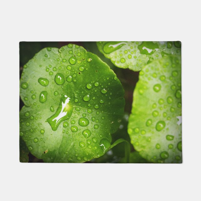 プレミアム品質の形式 ドアマット (正面)