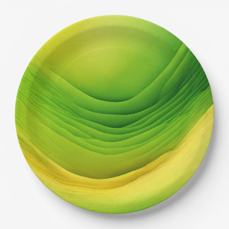 プレミアム9インチ紙プレート ペーパープレート