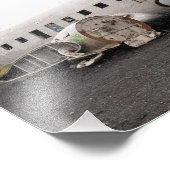 プレミアム サテン 写真用紙 写真の拡大 フォトプリント            (角)