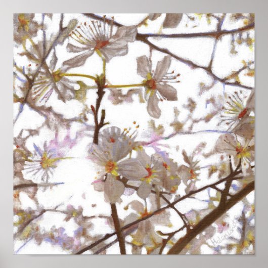 プレリュード2014 ポスター (正面)