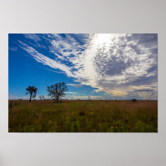 プレリーキシミープレリープリザーブメント州パーク,フロリダ ポスター (正面)