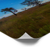 プレリーキシミープレリープリザーブメント州パーク,フロリダ ポスター (角)