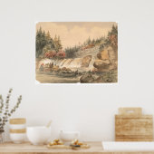 プレーザーマイニング(0605B) ポスター (キッチン)