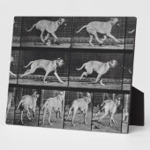 プレートランニング707 - 「Animal Movoction」から、Dog's dog, 1 フォトプラーク (側面)