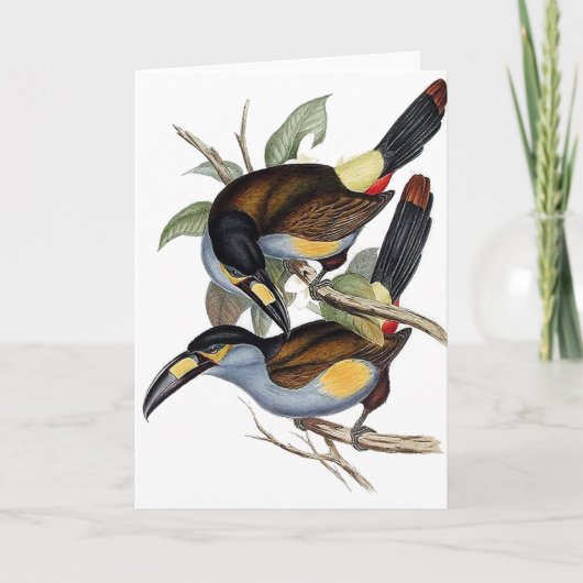 プレート勘定書を出された山Toucan カード (正面)