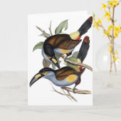 プレート勘定書を出された山Toucan カード (黄色い花)