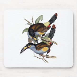 プレート勘定書を出された山Toucan マウスパッド