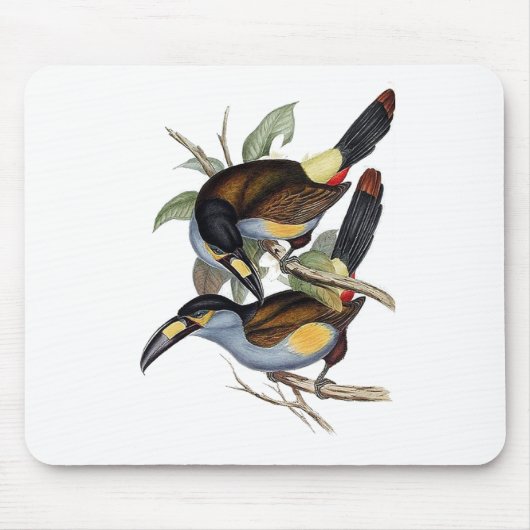プレート勘定書を出された山Toucan マウスパッド (正面)