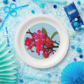 プレート (パーティー)