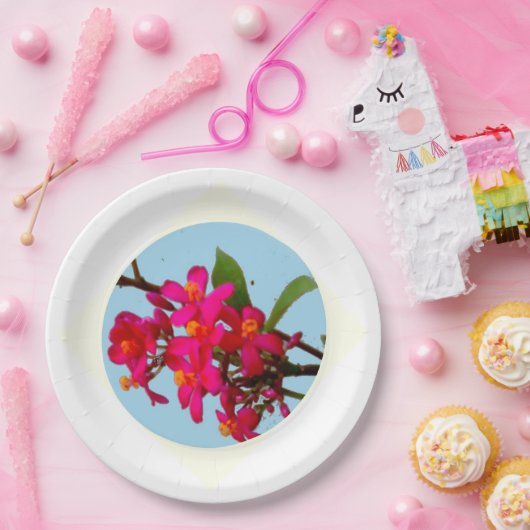 プレート (パーティー)