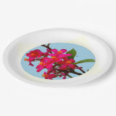 プレート (アングル)