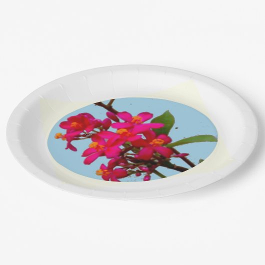 プレート (アングル)