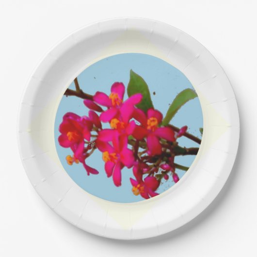 プレート (正面)