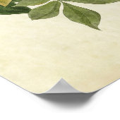 プレート101 | Raven |アメリカの鳥 ポスター (角)