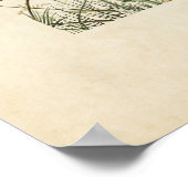 プレート109 | Savannah Finch |アメリカの鳥 ポスター (角)