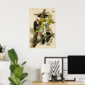 プレート11 |キツネザル |アメリカの鳥 ポスター (ホームオフィス)