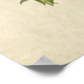 プレート138 | Connecticut Warbler |アメリカの鳥 ポスター (角)