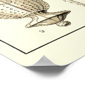 プレート14ペリディネア ポスター (角)