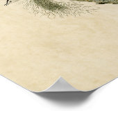 プレート152 |白い胸の黒い帽子をかぶったナサッチ ポスター (角)