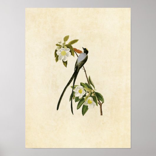 プレート168 |ホオズキ ポスター (正面)