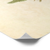 プレート169 マングローブ・カッコウ| |アメリカの鳥 ポスター (角)