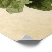 プレート16 | Ferruginous Thrush |アメリカの鳥 ポスター (角)