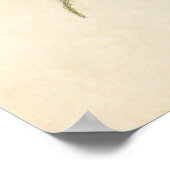 プレート180 |パインフィンチ |アメリカの鳥 ポスター (角)