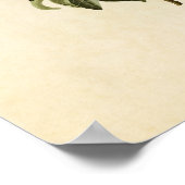 プレート185 | Bachman's Warbler |アメリカの鳥 ポスター (角)