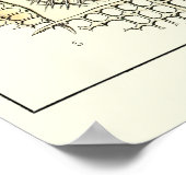 プレート21アカントメトラ ポスター (角)